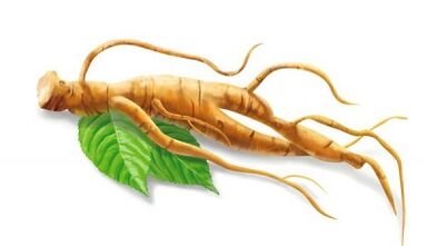 Ginseng improves its efficacy after 50 years